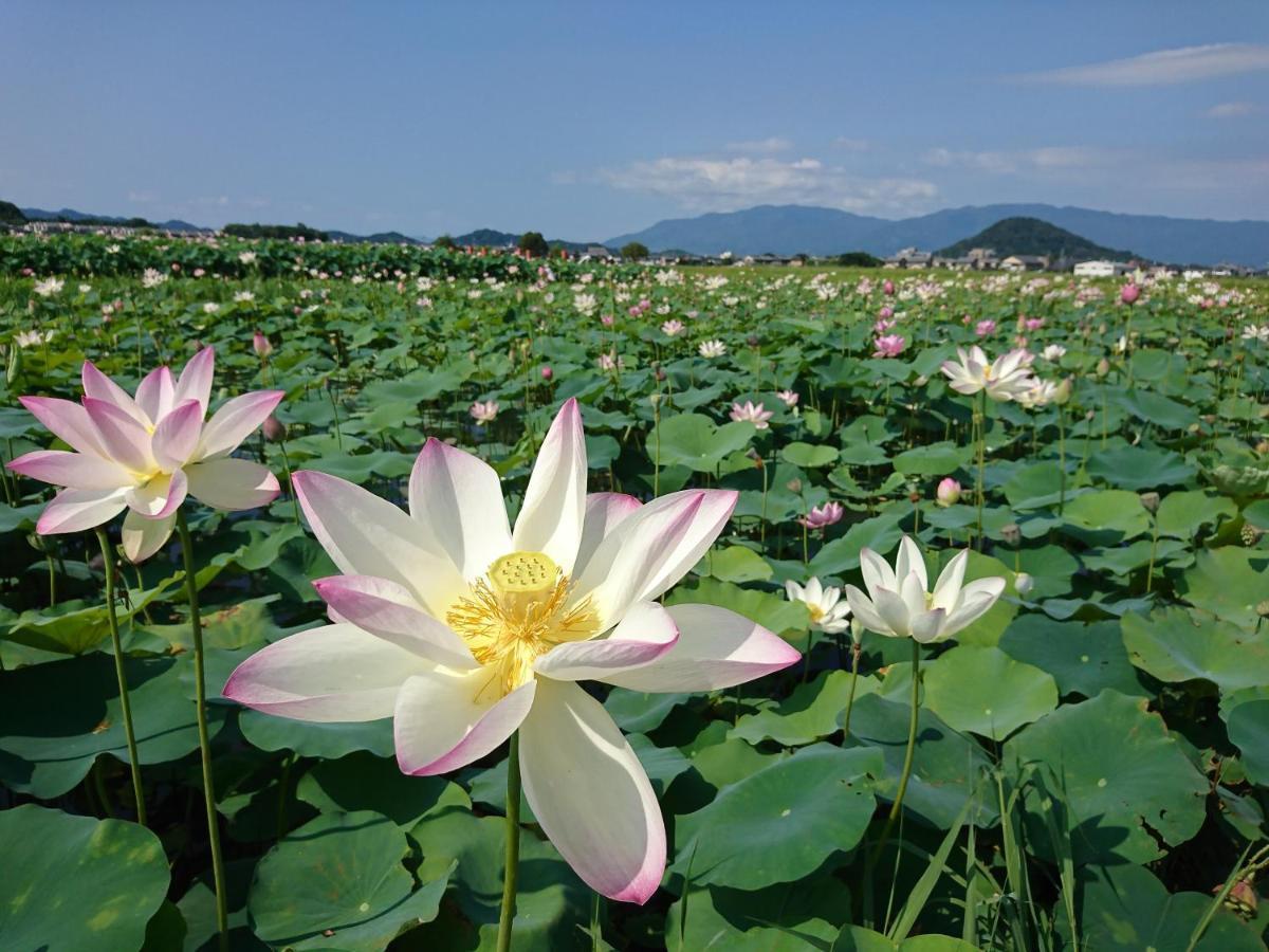 ゲストハウス はじまり 橿原市 エクステリア 写真