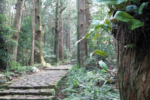 ゲストハウス はじまり 橿原市 エクステリア 写真