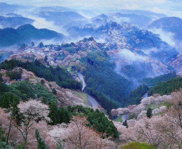 ゲストハウス はじまり 橿原市 エクステリア 写真