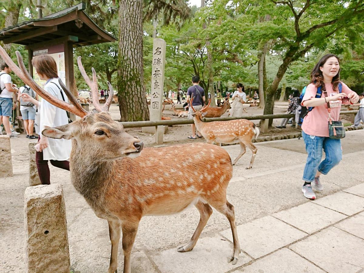 ゲストハウス はじまり 橿原市 エクステリア 写真